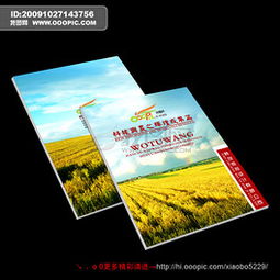 專業(yè)PSD建筑陶瓷行業(yè)畫(huà)冊(cè)設(shè)計(jì) 素材、模板與廣告設(shè)計(jì)要點(diǎn)